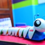 BeSingular Photo Gallary